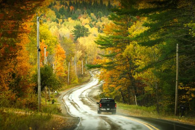 Fall foliage is seen in Burlington, Maine, on October 13, 2026. (Photo by CHARLY TRIBALLEAU / AFP)