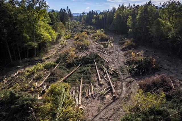 This aerial photograph shows a tree-cleared strip running through the forest during the controversial construction of the A412 motorway near Allinges, Haute-Savoie, France, on October 14, 2026. A coalition of associations, farmers, and residents on October 14, 2026, sought to halt construction of the A412 motorway, arguing that its environmental impact runs “counter to the climate emergency.” While a court ruling is expected on October 15, 2026, protesters have staged near-daily demonstrations, resulting in dozens of detentions and fines, according to organizers. (Photo by Fabrice COFFRINI / AFP)