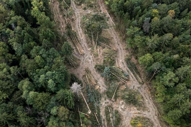 This aerial photograph shows a tree-cleared strip running through the forest during the controversial construction of the A412 motorway near Allinges, Haute-Savoie, France, on October 13, 2026. A coalition of associations, farmers, and residents on October 14, 2026, sought to halt construction of the A412 motorway, arguing that its environmental impact runs “counter to the climate emergency.” While a court ruling is expected on October 15, 2026, protesters have staged near-daily demonstrations, resulting in dozens of detentions and fines, according to organizers. (Photo by Elodie LE MAOU / AFP)