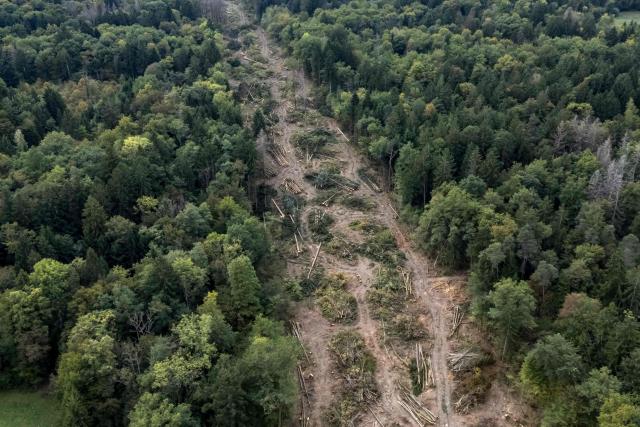 This aerial photograph shows a tree-cleared strip running through the forest during the controversial construction of the A412 motorway near Allinges, Haute-Savoie, France, on October 13, 2026. A coalition of associations, farmers, and residents on October 14, 2026, sought to halt construction of the A412 motorway, arguing that its environmental impact runs “counter to the climate emergency.” While a court ruling is expected on October 15, 2026, protesters have staged near-daily demonstrations, resulting in dozens of detentions and fines, according to organizers. (Photo by Elodie LE MAOU / AFP)