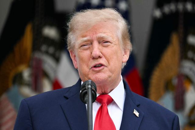 US President Donald Trump speaks in the Rose Garden at the White House, Washington DC, October 15, 2026. (Photo by Jim WATSON / AFP)