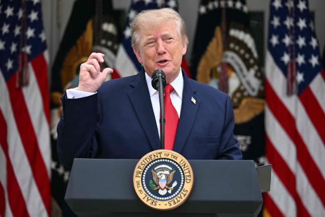 US President Donald Trump speaks in the Rose Garden at the White House, Washington DC, October 15, 2026. (Photo by Jim WATSON / AFP)