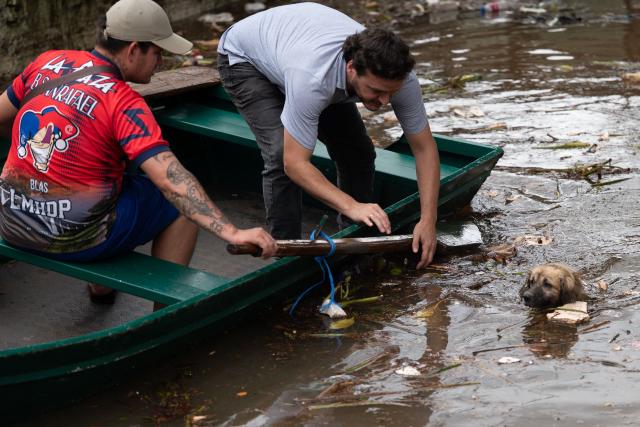 A man try to help a dog in flooded neighborhood on the banks of the Parana River in Ciudad del Este, Paraguay, on October 15, 2026, following rising water levels that inundated riverside areas. The Itaipu hydroelectric dam opened its floodgates due to a rise in water levels caused by heavy rains in southern Brazil. (Photo by AFP)