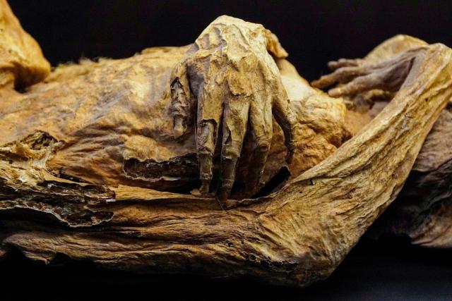 Detail of a mummy on display at the Mummy Museum in the colonial city of Guanajuato, Guanajuato state, Mexico, on October 15, 2026. The museum displays naturally mummified human remains recovered from the city's Santa Paula cemetery. (Photo by Mario ARMAS / AFP)