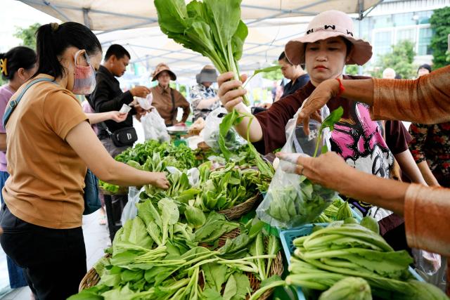 Shoppers buy vegetables from a community market in Ta Khmao town, Kandal province, on October 17, 2026. (Photo by TANG CHHIN Sothy / AFP)