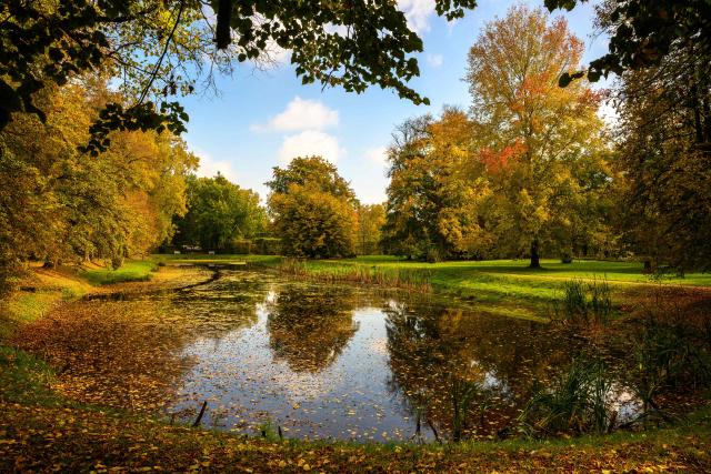 This photograph shows the autumn foliage of trees reflected in a pond at the Radziwill Palace Park in Nieborow in Lodz Voivodeship, 80 km west of Warsaw, Poland, on October 18, 2026. (Photo by Mladen ANTONOV / AFP)