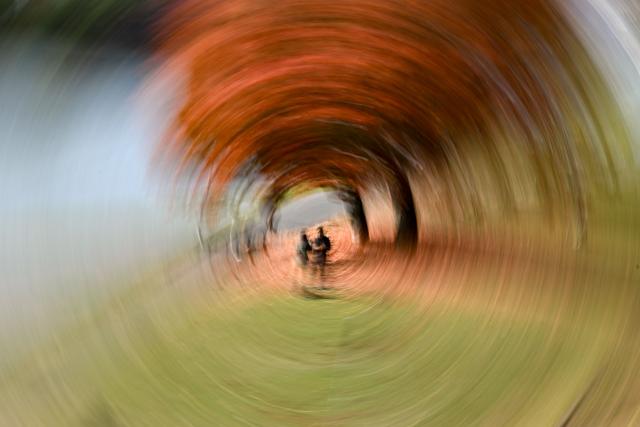 Two men stand under a tree with colourful leaves on the Main river embankment in Frankfurt am Main, western Germany, on October 19, 2026, as air temperatures reached 16 degrees Celsius. (Photo by Kirill KUDRYAVTSEV / AFP)