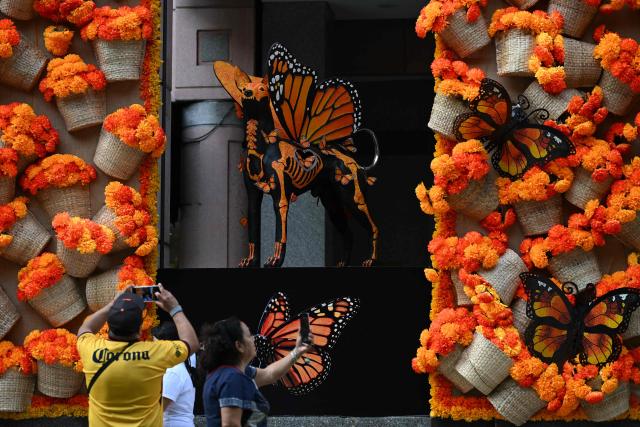 Pedestrians use their mobile phones to photograph an altar inspired by monarch butterflies and the Xoloitzcuintle, or Mexican hairless dog, displayed on the facade of a hotel ahead of the Day of the Dead commemoration in Mexico City on October 19, 2026. (Photo by Yuri CORTEZ / AFP)
