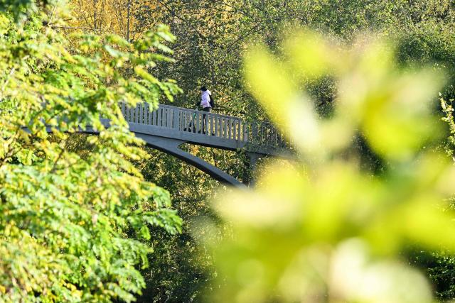A person crosses a bridge over the Nidda river in Frankfurt am Main, western Germany, on October 20, 2026, as air temperatures reached 9 degrees Celsius. (Photo by Kirill KUDRYAVTSEV / AFP)