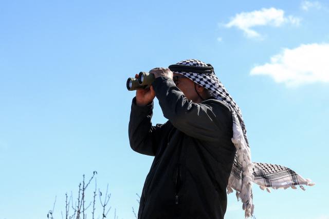 A Palestinian farmer looks through binoculars watching for Israeli settlers during the olive harvest in Turmus Ayya, northeast of Ramallah, in the Israeli-occupied West Bank, on October 20, 2026. Attacks on a US journalist and European diplomats in the occupied West Bank have turned the Israeli prime minister's championing of settlers into a potential liability days before elections, with opponents calling him soft on "Jewish terrorism". Several Palestinians have been killed in the near-daily attacks by settlers during the harvest which have included beatings, arson and theft. (Photo by Zain JAAFAR / AFP)