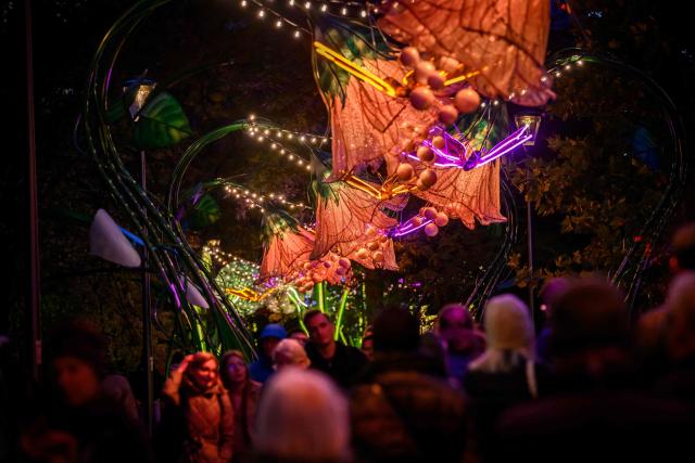 People walk under the newly inaugurated light installations in the shape of plants, flowers and butterflies in Swietokrzyski Park in central Warsaw on October 21, 2026. (Photo by Mladen ANTONOV / AFP)