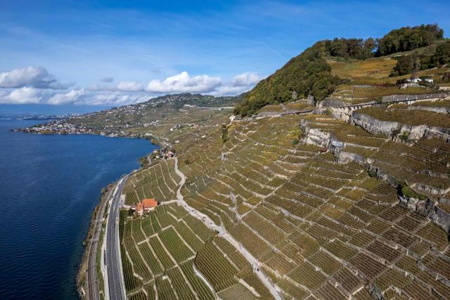 This aerial photograph shows the terraced vineyards of Lavaux, a UNESCO World Heritage Site, overlooking Lake Geneva bathed in autumn light, near Rivaz, western Switzerland, on October 22, 2026 (Photo by Fabrice COFFRINI / AFP)