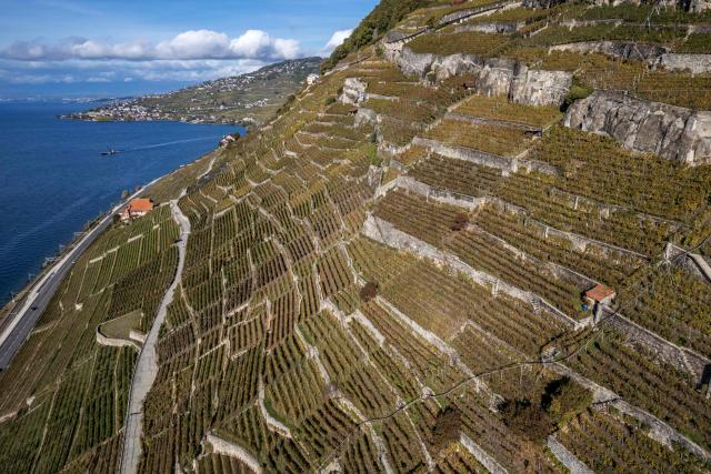 This aerial photograph shows the terraced vineyards of Lavaux, a UNESCO World Heritage Site, overlooking Lake Geneva bathed in autumn light, near Rivaz, western Switzerland, on October 22, 2026 (Photo by Fabrice COFFRINI / AFP)