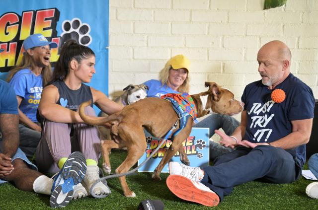 Republican gubernatorial candidate Steve Hilton (R) plays with a dog as he meets with activists of "Saving California's Dogs" during an event focused on animal rescue and adoption in Los Angeles on October 23, 2026. (Photo by Frederic J. BROWN / AFP)