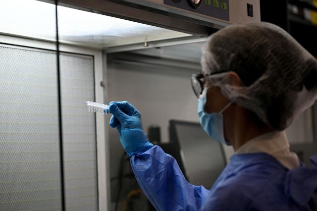 A forensic geneticist examines DNA samples from human remains for the identification of people who disappeared during Argentina's last military dictatorship (1976-1983) at a genetics laboratory of the Argentine Forensic Anthropology Team (EAAF) in Cordoba, Argentina, on October 23, 2026. Argentine judicial authorities in the province of Cordoba announced on October 23, 2026, the identification of eight people who disappeared during the country's last military dictatorship, whose remains were recovered from a mass grave, bringing the number of victims identified at the site since September 2025 to 38. (Photo by CESAR HEREDIA / AFP)
