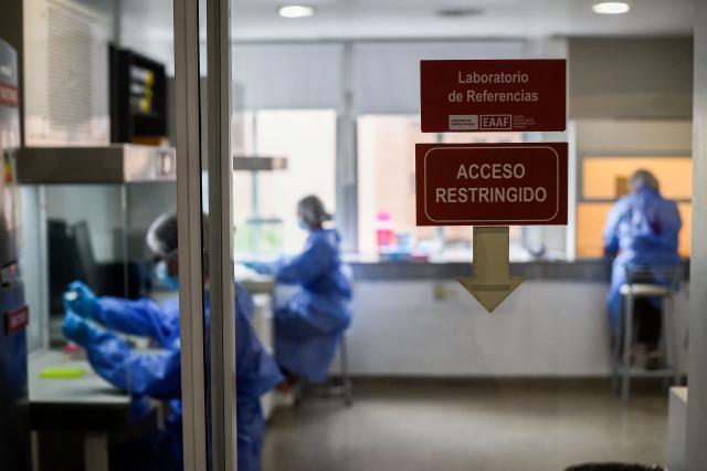 Forensic geneticists work with human remains to extract DNA for the identification of people who disappeared during Argentina's last military dictatorship (1976-1983) at a genetics laboratory of the Argentine Forensic Anthropology Team (EAAF) in Cordoba, Argentina, on October 23, 2026. Argentine judicial authorities in the province of Cordoba announced on October 23, 2026, the identification of eight people who disappeared during the country's last military dictatorship, whose remains were recovered from a mass grave, bringing the number of victims identified at the site since September 2025 to 38. (Photo by Cesar Heredia / AFP)