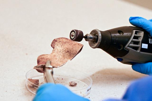 A forensic geneticist works with a piece of human bone to extract DNA for the identification of people who disappeared during Argentina's last military dictatorship (1976-1983) at a genetics laboratory of the Argentine Forensic Anthropology Team (EAAF) in Cordoba, Argentina, on October 23, 2026. Argentine judicial authorities in the province of Cordoba announced on October 23, 2026, the identification of eight people who disappeared during the country's last military dictatorship, whose remains were recovered from a mass grave, bringing the number of victims identified at the site since September 2025 to 38. (Photo by CESAR HEREDIA / AFP)