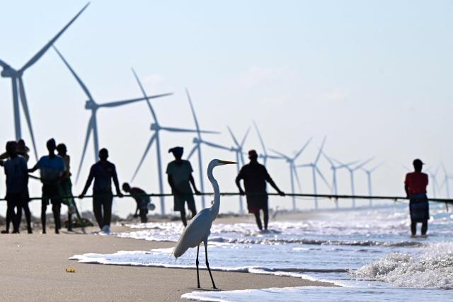 This photograph taken on October 3, 2026 shows an egret resting at a beach while fishermen catching fish, near a wind power plant in Sri Lanka's Mannar Peninsula. The government aims to generate 70 percent of the country's electricity from renewable sources by 2030, including wind power. But it has frozen new projects in Mannar to ease local opposition. Since they appeared six years ago, the Mannar wind turbines have been blamed for a host of problems -- from dwindling catches to floods, fuelling opposition to green energy projects as fuel costs soar. (Photo by Ishara S. KODIKARA / AFP)