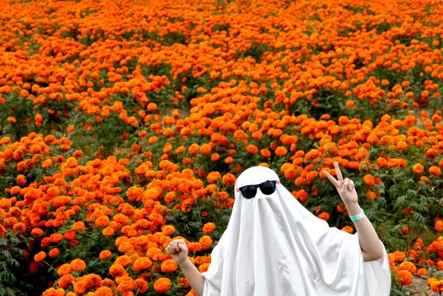 A woman dressed as ghost poses for pictures at fields of cempasuchil (marigold) flowers during preparations for the Day of the Dead celebration at Rancho San Juan Diego, in Tlajomulco de Zuniga, Jalisco, Mexico on October 24, 2026. On November 2, Mexico celebrates the Day of the Dead to pay tribute to deceased family members and friends. (Photo by ULISES RUIZ / AFP)