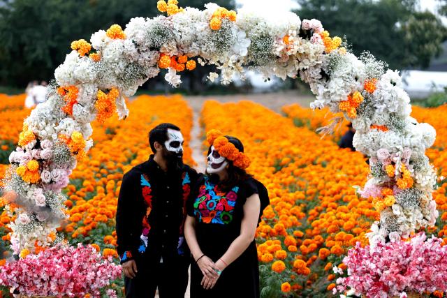 A couple poses for pictures at a field of cempasuchil (marigold) flowers during preparations for the Day of the Dead celebration at Rancho San Juan Diego, in Tlajomulco de Zuniga, Jalisco, Mexico on October 24, 2026. On November 2, Mexico celebrates the Day of the Dead to pay tribute to deceased family members and friends. (Photo by ULISES RUIZ / AFP)