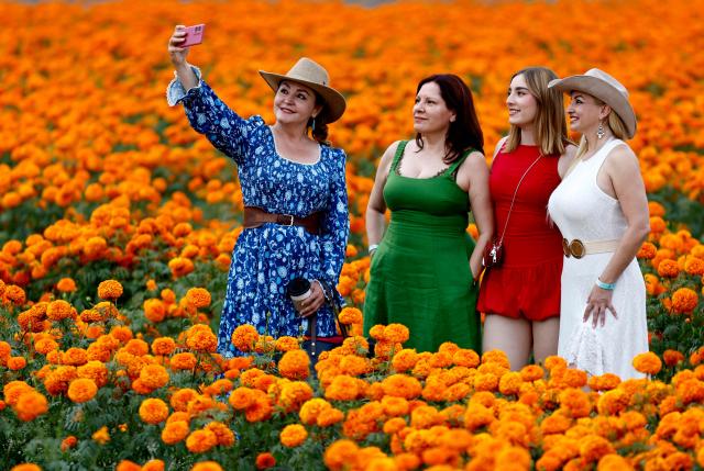 Women pose for pictures at a field of cempasuchil (marigold) flowers during preparations for the Day of the Dead celebration at Rancho San Juan Diego, in Tlajomulco de Zuniga, Jalisco, Mexico on October 24, 2026. On November 2, Mexico celebrates the Day of the Dead to pay tribute to deceased family members and friends. (Photo by Ulises RUIZ / AFP)
