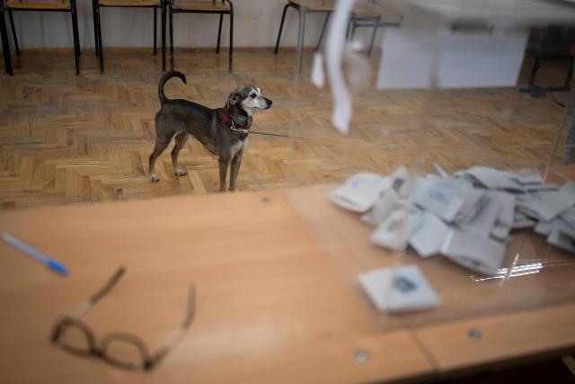 A dog waits for its owner as she votes for the Bulgaria's presidential election at a polling station in Sofia on October 25, 2026. Bulgarians are voting in a presidential election on October 25, as security concerns swirl following a series of drone attacks on ships in the Black Sea. The incumbent President, who favors dialogue with Moscow and opposes military aid to Ukraine, is the frontrunner for a new term in the largely ceremonial post, polls show. (Photo by Nikolay DOYCHINOV / AFP)