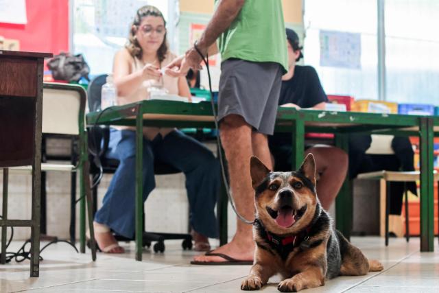 A dog waits while its owner votes at a polling station in Barra da Tijuca, Rio de Janeiro, during the presidential runoff election on October 25, 2026. Brazilians head to the polls for a runoff between President Luiz Inacio Lula da Silva and right-wing senator Flavio Bolsonaro that will determine whether Brazil remains one of the few leftist nations in the region or joins a regional swing to the right championed by US President Donald Trump, a Bolsonaro ally. (Photo by Douglas SHINEIDR / AFP)