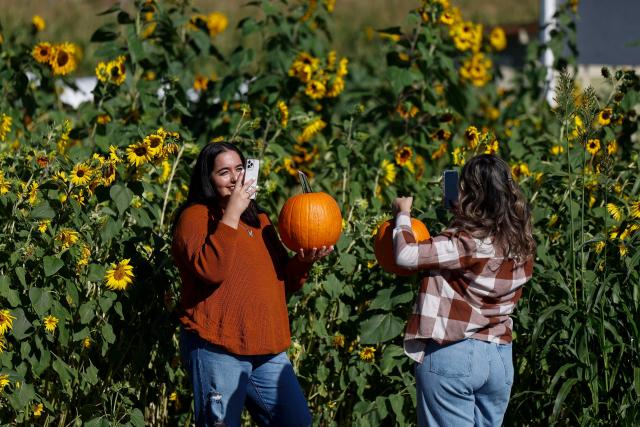 Two people take photos as they hold up pumpkins at the Cal Poly Pomona PumpkinFest in Pomona, California, on October 25, 2026. (Photo by Caroline Brehman / AFP)