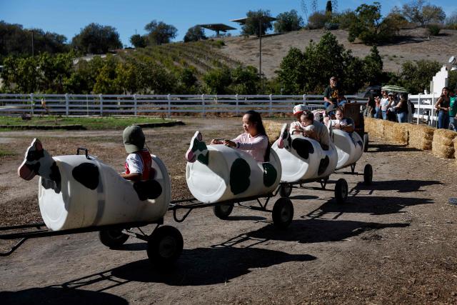 People are pulled by a tractor at a ride at the Cal Poly Pomona PumpkinFest in Pomona, California, on October 25, 2026. (Photo by Caroline Brehman / AFP)