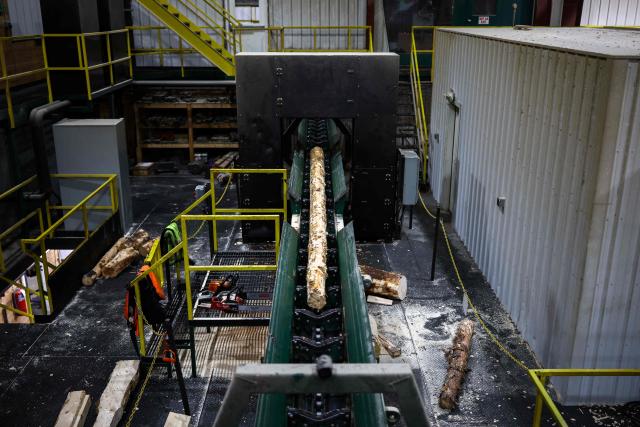 A wood log is being cut during the softwood lumber process at the "Pleasant River Lumber" sawmill in Enfield, Maine, on October 13, 2026. In the heat of US midterm elections, President Donald Trump's tariffs on Canada, and Ottawa's retaliation, have taken center stage in timber-producing Maine, walloped by the economic fallout perhaps more than any other state. Residents in Maine's frontier towns express worry that the tariffs have also triggered a rupture in cross-border relationships built up over decades, and that the intricate community fabric could take years to repair. (Photo by CHARLY TRIBALLEAU / AFP)