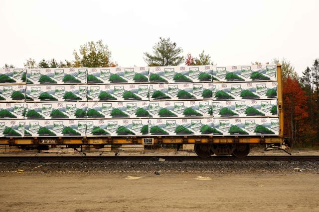 Loads of softwood lumber are ready to be shipped at the "Pleasant River Lumber" sawmill in Enfield, Maine, on October 13, 2026. In the heat of US midterm elections, President Donald Trump's tariffs on Canada, and Ottawa's retaliation, have taken center stage in timber-producing Maine, walloped by the economic fallout perhaps more than any other state. Residents in Maine's frontier towns express worry that the tariffs have also triggered a rupture in cross-border relationships built up over decades, and that the intricate community fabric could take years to repair. (Photo by CHARLY TRIBALLEAU / AFP)