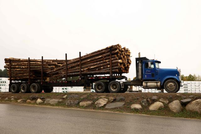 Trucks carrying softwood lumber arrive at the "Pleasant River Lumber" sawmill in Enfield, Maine, on October 13, 2026. In the heat of US midterm elections, President Donald Trump's tariffs on Canada, and Ottawa's retaliation, have taken center stage in timber-producing Maine, walloped by the economic fallout perhaps more than any other state. Residents in Maine's frontier towns express worry that the tariffs have also triggered a rupture in cross-border relationships built up over decades, and that the intricate community fabric could take years to repair. (Photo by CHARLY TRIBALLEAU / AFP)