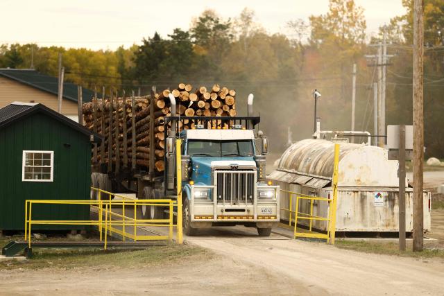 A truck carrying softwood lumber is weighted at the "Pleasant River Lumber" sawmill in Enfield, Maine, on October 13, 2026. In the heat of US midterm elections, President Donald Trump's tariffs on Canada, and Ottawa's retaliation, have taken center stage in timber-producing Maine, walloped by the economic fallout perhaps more than any other state. Residents in Maine's frontier towns express worry that the tariffs have also triggered a rupture in cross-border relationships built up over decades, and that the intricate community fabric could take years to repair. (Photo by CHARLY TRIBALLEAU / AFP)