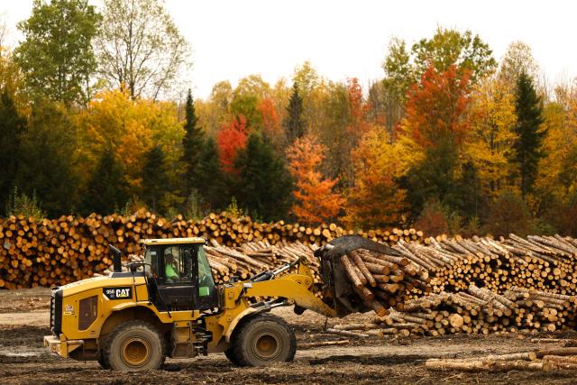 A wheel loader carries wood logs at the "Pleasant River Lumber" sawmill in Enfield, Maine, on October 13, 2026. In the heat of US midterm elections, President Donald Trump's tariffs on Canada, and Ottawa's retaliation, have taken center stage in timber-producing Maine, walloped by the economic fallout perhaps more than any other state. Residents in Maine's frontier towns express worry that the tariffs have also triggered a rupture in cross-border relationships built up over decades, and that the intricate community fabric could take years to repair. (Photo by CHARLY TRIBALLEAU / AFP)