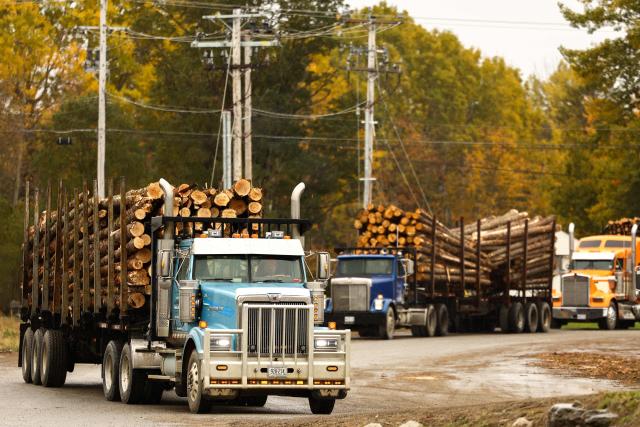 Trucks carrying softwood lumber arrive at the "Pleasant River Lumber" sawmill in Enfield, Maine, on October 13, 2026. In the heat of US midterm elections, President Donald Trump's tariffs on Canada, and Ottawa's retaliation, have taken center stage in timber-producing Maine, walloped by the economic fallout perhaps more than any other state. Residents in Maine's frontier towns express worry that the tariffs have also triggered a rupture in cross-border relationships built up over decades, and that the intricate community fabric could take years to repair. (Photo by CHARLY TRIBALLEAU / AFP)