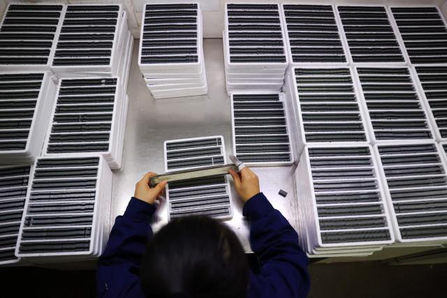 A worker inspects the quality of magnetic components at the production workshop of Yaorun Technology in the high-tech zone of Qianjiang District in Chongqing, southwest China on October 26, 2026. (Photo by CN-STR / AFP) / China OUT