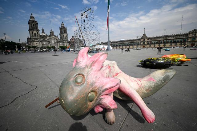 An axolotl figure is seen at the massive Day of the Dead altar being prepared at the Zocalo square in Mexico City on October 26, 2026, ahead of its unveiling on October 29. On November 2, Mexicans celebrate the Day of the Dead, a tradition honoring deceased relatives and loved ones. (Photo by Alfredo ESTRELLA / AFP)