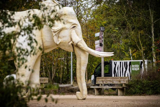 This photograph shows the exterior of the Safaripark Beekse Bergen in Hilvarenbeek, on October 27, 2026. A keeper at a Dutch zoo has died days after being mauled in a leopard enclosure, the safari park announced on October 27, 2026. (Photo by ROB ENGELAAR / ANP / AFP) / Netherlands OUT