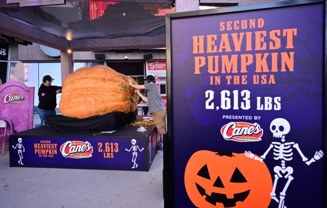 Pumpkin carvers Drew Smith (L), of Columbia, Kentucky, and Anthony Peter (R), of Davenport, Florida, carve a 2,518-pound (1142 kg) pumpkin billed as the second-largest in the country, on display outside a Raising Cane's restaurant on Hollywood Boulevard in Los Angeles,on October 27, 2026. The pumpkin was grown in Lancaster, Pennsylvania, by Emmett Andrusz, the 2025 Grower of the Year. (Photo by Frederic J. BROWN / AFP)