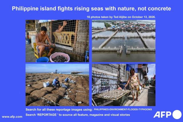 AFP presents 16 photos by photographer Ted Aljibe taken on October 13, 2026 at Pamarawan Island in Malolos City, Bulacan province showing residents using bamboo poles and discarded oyster shells to build barrier aimed at weakening waves and managing floods. For years, residents of a flood-prone Philippine island north of Manila have elevated their homes atop layer upon layer of concrete, only to see floodwaters threaten them again.
Search for all these reportage images using: PHILIPPINES-ENVIRONMENT-FLOODS-TYPHOONS

Search "REPORTAGE" to source all feature, magazine and visual stories. (Photo by Ted ALJIBE / AFP) / To go with AFP story Philippines-environment-floods-typhoons, FOCUS by Pam CASTRO