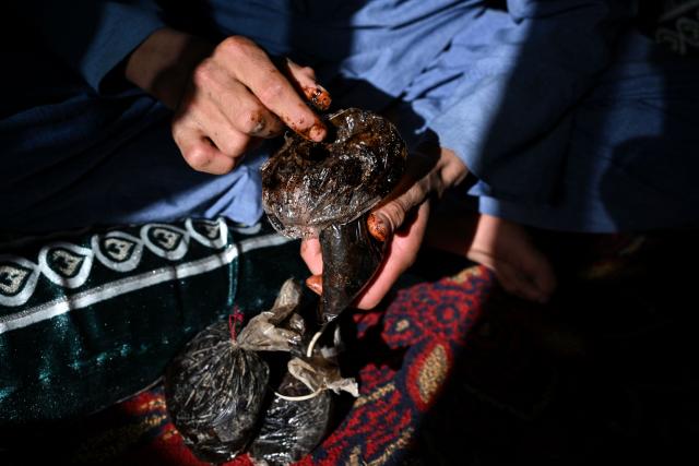 This photograph taken on October 11, 2026 shows an Afghan farmer holding raw opium at his house in Badakhshan province. Opium poppy cultivation in Afghanistan more than quadrupled in 2026 despite a Taliban government ban, the United Nations said on October 29, urging that impoverished farmers need alternatives to the lucrative crop. (Photo by AFP)