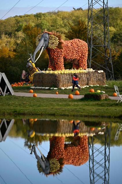 A girl runs past at an exhibit depicting an elephant at a pumpkin exhibition around the theme of tropical jungle at the Krewelshof farm near Mechernich, western Germany, on October 29, 2026. (Photo by Ina FASSBENDER / AFP)