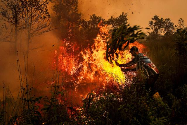 (FILES) A man uses a tree branch to try to extinguish a peatland fire in Palangkaraya, Central Kalimantan, on October 22, 2026. Air pollution from smoke emitted by months of wildfires across Indonesia caused an estimated 3,560 deaths in the vast Southeast Asian archipelago in September alone, according to a scientific study. (Photo by REINA / AFP)
