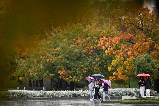 Pedestrians walk under their umbrellas on a rainy day in Sofia on October 30, 2026. (Photo by Nikolay Doychinov / AFP)