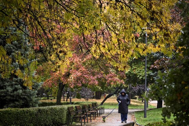 A pedestrian walks her dog in a park on a rainy day in Sofia on October 30, 2026. (Photo by Nikolay Doychinov / AFP)