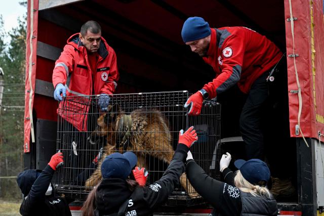 Volunteers unload a caged domestic dog out of a vehicle upon its arrival from the Russian-controlled city of Oleshky and following a residents' evacuation as part of a humanitarian mission at an undisclosed location in Ukraine on October 31, 2026, amid the Russian invasion of Ukraine. Residents of the Russian-controlled city of Oleshky, ravaged by years of war, arrived in Ukraine on October 31, 2026 after being evacuated via Belarus during a rare truce brokered by US First Lady Melania Trump. (Photo by Genya SAVILOV / AFP)