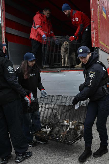 Volunteers and police officers unload cats and dogs from the Russian-controlled city of Oleshky that evacuated residents have taken with them during a humanitarian mission at an undisclosed location in Ukraine on October 31, 2026, amid the Russian invasion of Ukraine. Residents of the Russian-controlled city of Oleshky, ravaged by years of war, arrived in Ukraine on October 31, 2026 after being evacuated via Belarus during a rare truce brokered by US First Lady Melania Trump. (Photo by Genya SAVILOV / AFP)