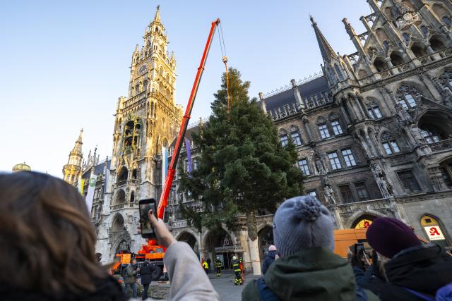 06 November 2024, Bavaria, Munich: Passers-by watch the Christmas tree being set up on Marienplatz. This year's Christmas tree is a coastal fir, 23 meters high and was donated by the municipality of Antdorf. Photo: Lennart Preiss/dpa