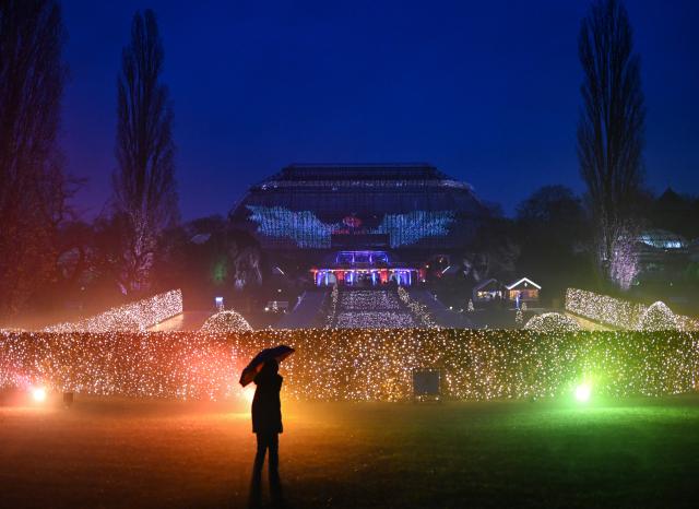 19 November 2024, Berlin: A person walks in front of the illuminated Christmas Garden in Berlin. It is open in the Botanical Garden from November 20 to January 12. Photo: Jens Kalaene/dpa