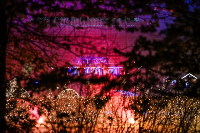 19 November 2024, Berlin: Christmas Garden in Berlin is illuminated. It is open in the Botanical Garden from November 20 to January 12. Photo: Jens Kalaene/dpa